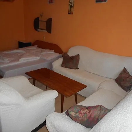 Rozsa Sandor Vendeghaz Guest house Radfalva