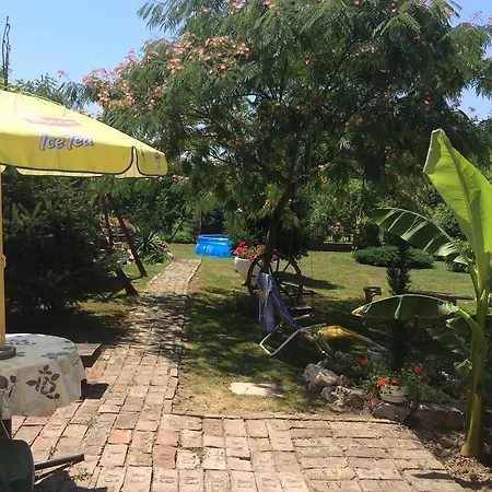 Guest house Rozsa Sandor Vendeghaz Radfalva